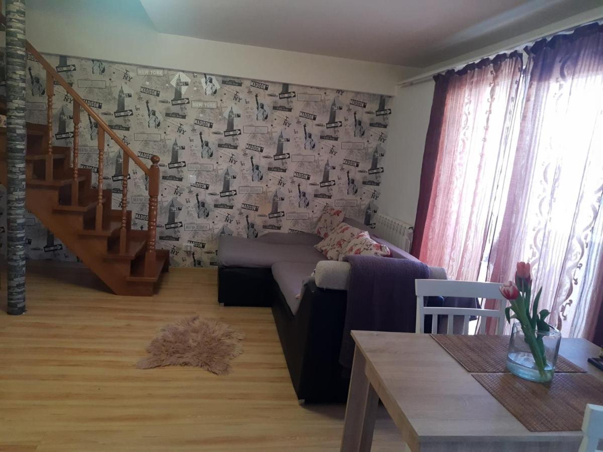 Apartament 3 Camere Рымнику-Вылча Экстерьер фото